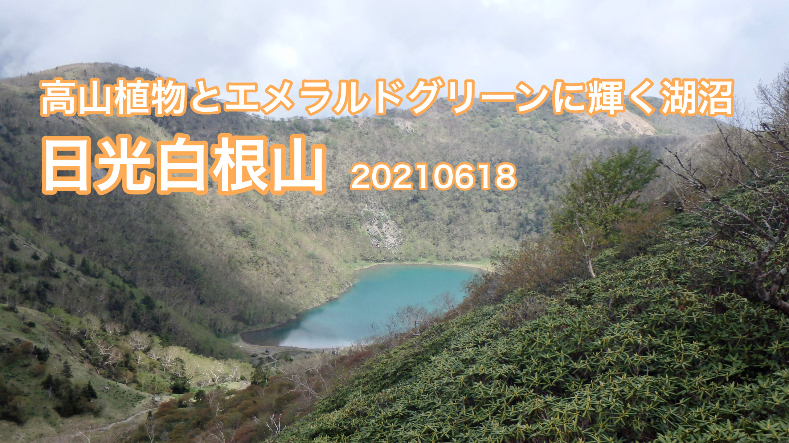 北関東 日光白根山 高山植物とエメラルドグリーンに輝く湖沼 山と僕のブルース